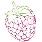 raspberry
