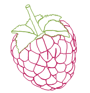 raspberry