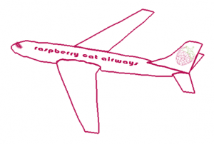 raspberryplane